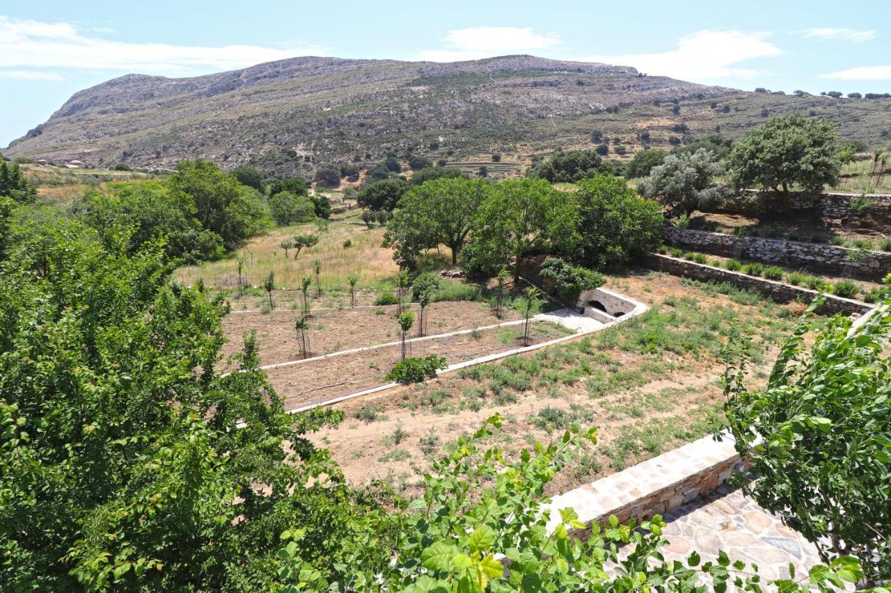 Serenity Village Aperathos Экстерьер фото